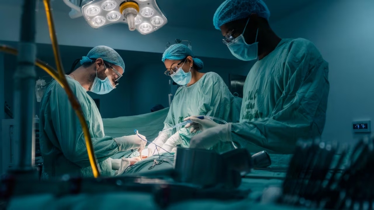 La Subred Integrada de Servicios de Salud Centro Oriente