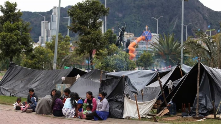 Un desafío en el Parque Nacional que exige colaboración interinstitucional