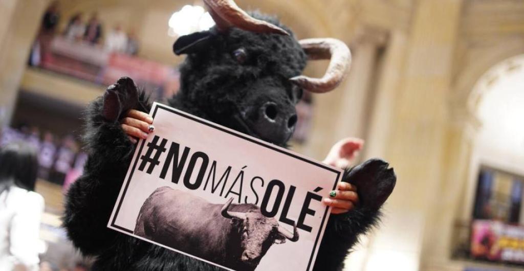 NO MAS CORRIDAS DE TOROS