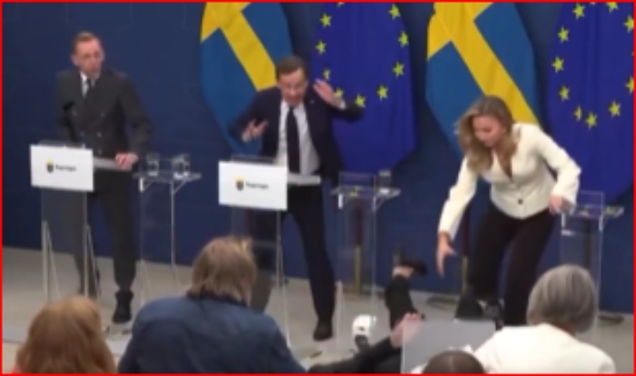 Suecia- Min Salud- desplomó- Elisabet Lann- 9Sep- Acko Ankarberg Johansson_