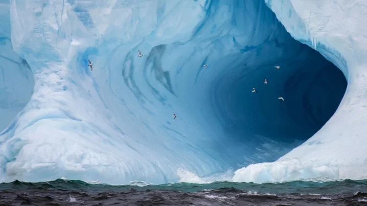 Un Enigma Oscuro en el Hielo_ El Objeto de la Antártida que Cautiva las Redes