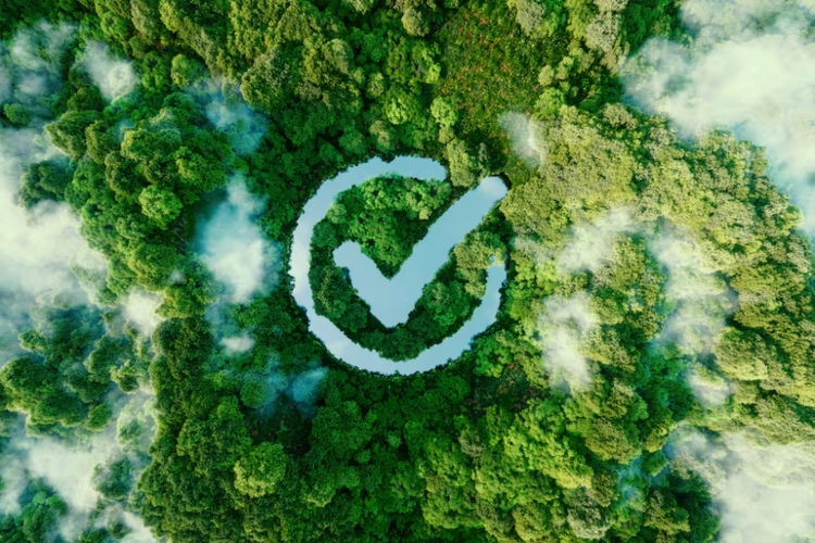 Científicos modifican plantas genéticamente para aumentar la absorción de CO₂