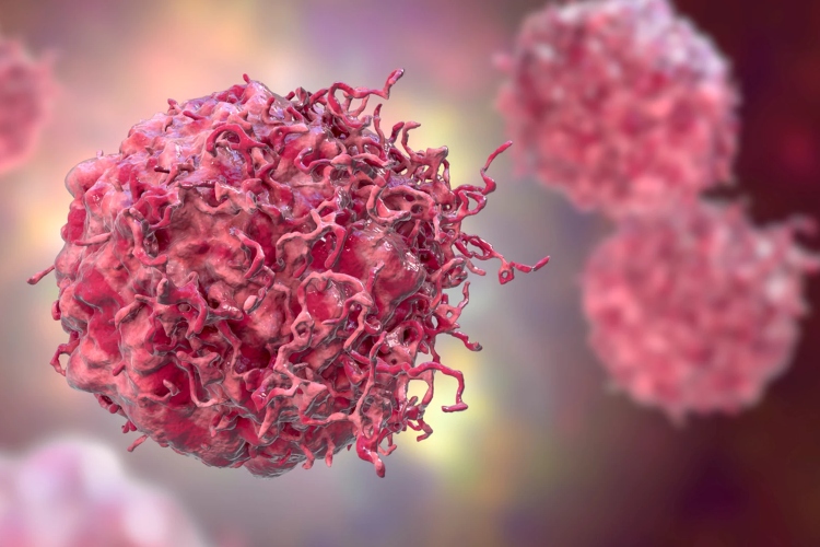 Científicos descubren la “caja negra” del cáncer
