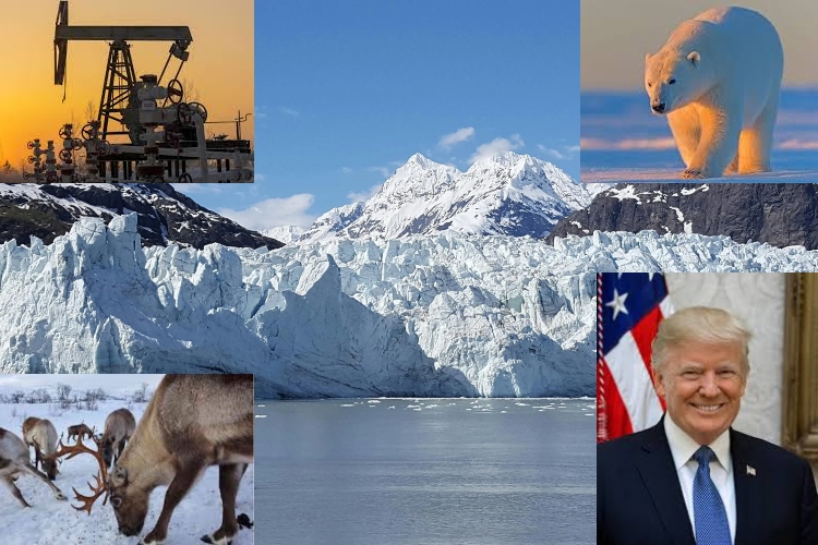 Trump autoriza perforación petrolera en un refugio natural del Ártico