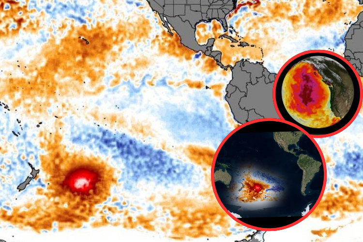Misterioso punto caliente en el Pacífico Norte alarma a científicos por récord de temperatura