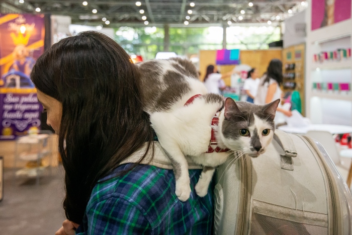 Expopet Medellín- Animales- cuidado- prevención-