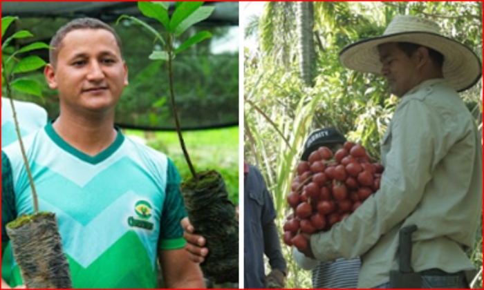 Ganadores- Premio Emprender Paz 2025- Cauca- Valle- Fundación Grupo Social- Cartón de Colombia Smurfit Westrock-