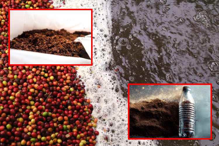 Residuos de café eliminan hasta el 98% del plomo del agua