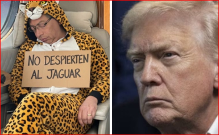 Memes- EEUU- Colombia- Gustavo Petro- Trump- memes- 8ene- Jaguar-