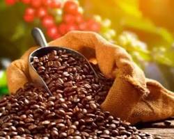 Café especial de Colombia 2026