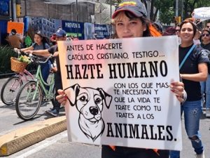 Redes sociales destapan alarmantes casos de agresión animal