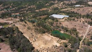 El fenómeno de El Niño incrementa el riesgo de incendios forestales