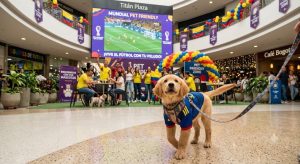  ¡Ponte la camiseta y trae la correa! El Mundial se vive con tu mejor amigo en Bogotá