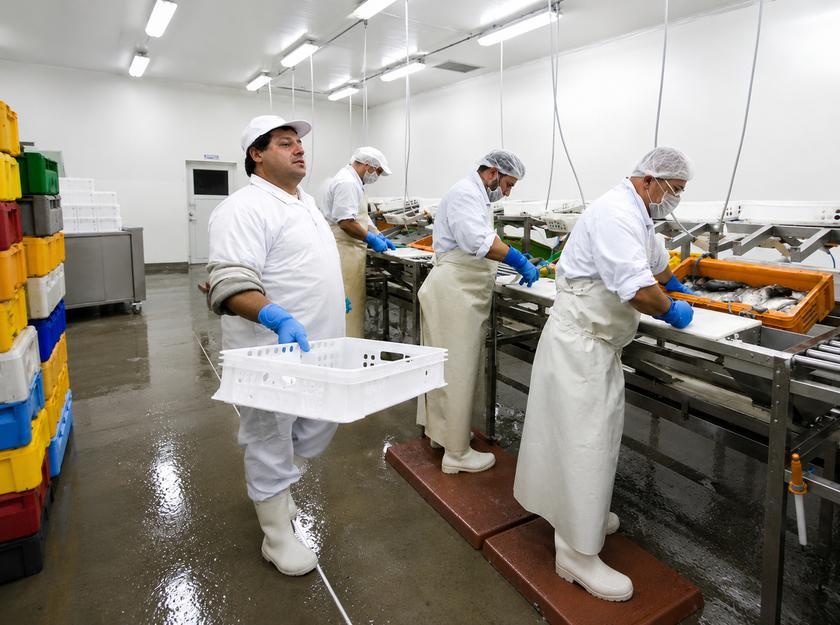 Salario mínimo Colombia 2026: expertos alertan efectos laborales