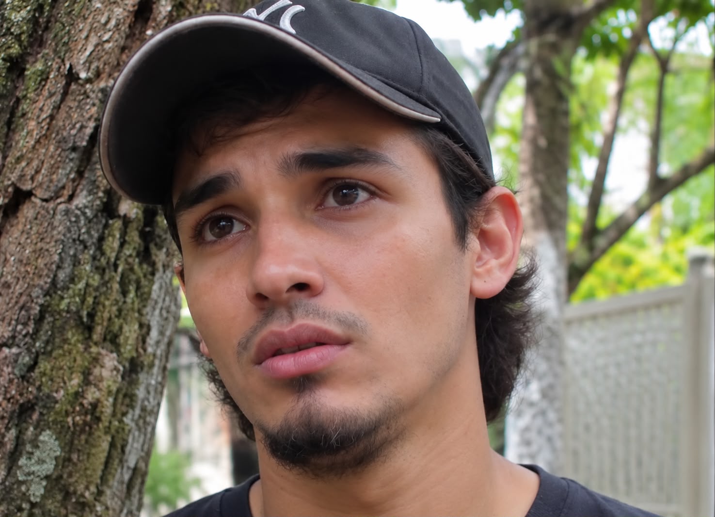 Denuncian árbol inclinado sobre una vivienda en el barrio El Carmen de Palmira y advierten riesgo de caída